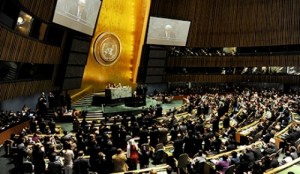 سازمان الملل 22